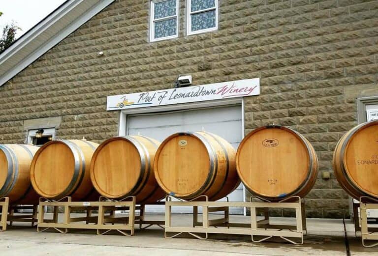 The Best Wineries In Maryland To Visit In