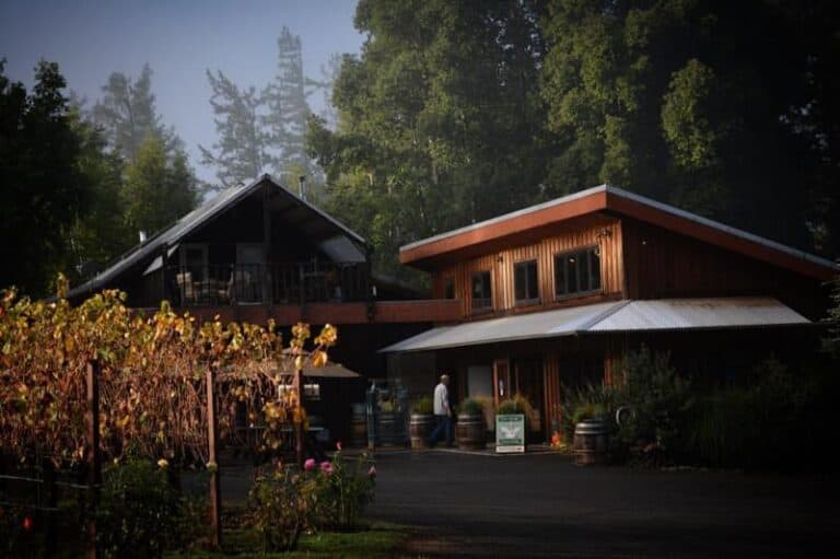 Anderson Valley Wine Tour Top Wineries To Visit