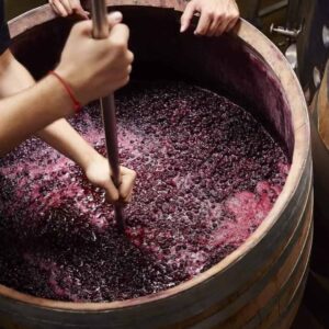 What is Wine Fermentation