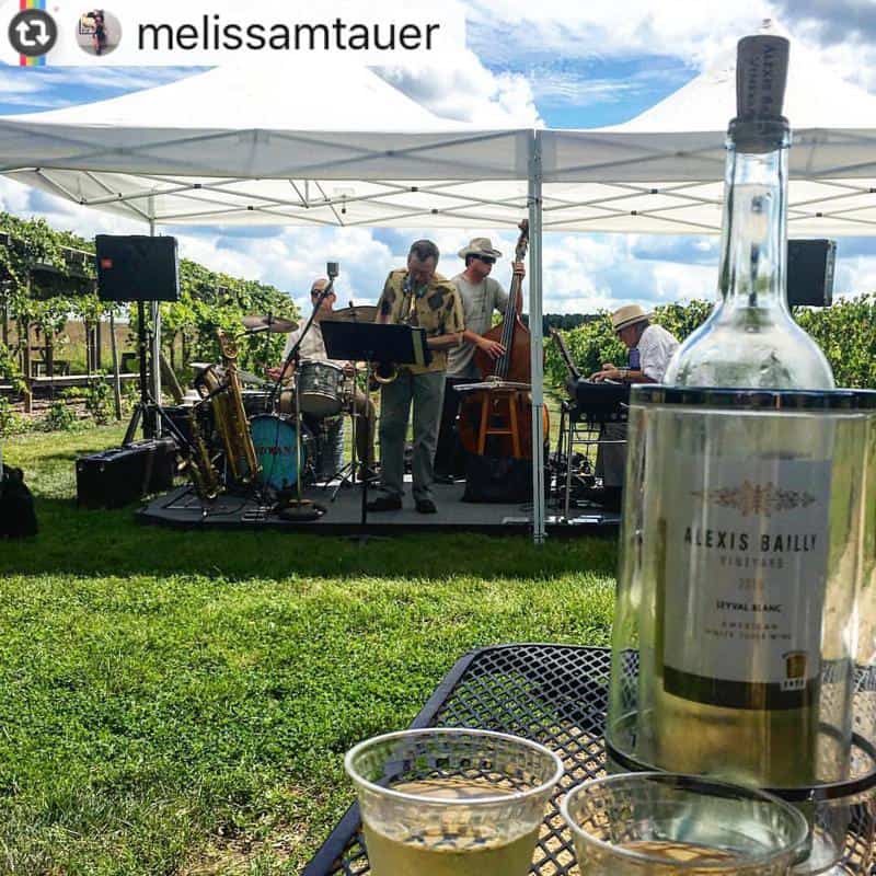 Alexis Bailly Vineyards 3