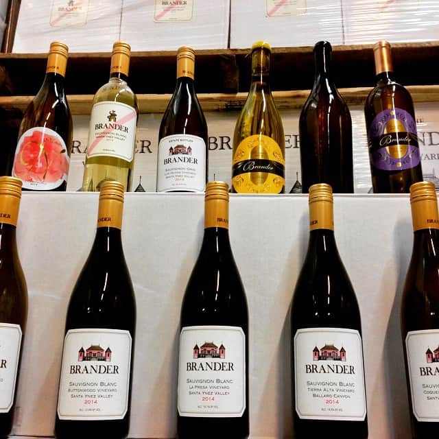 Brander Vineyard 3