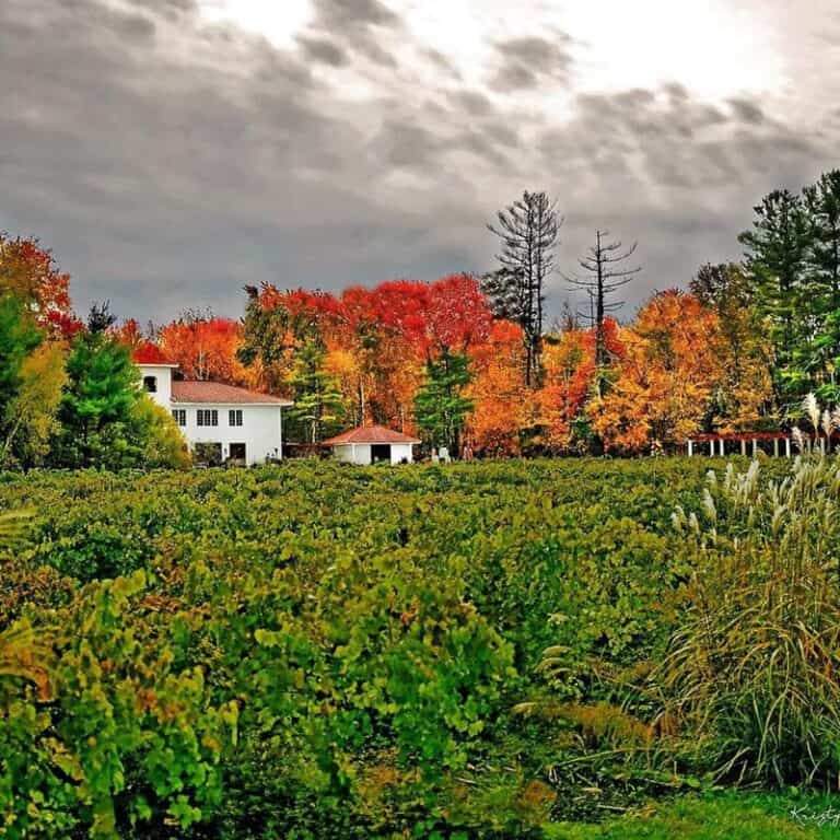 New Hampshire Wine Tasting 10 Best Wineries to Visit Coastal Wine Trail