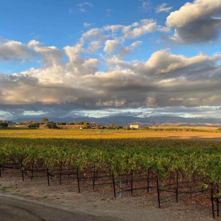 The 8 Best Santa Ynez Wineries to Visit in 2022