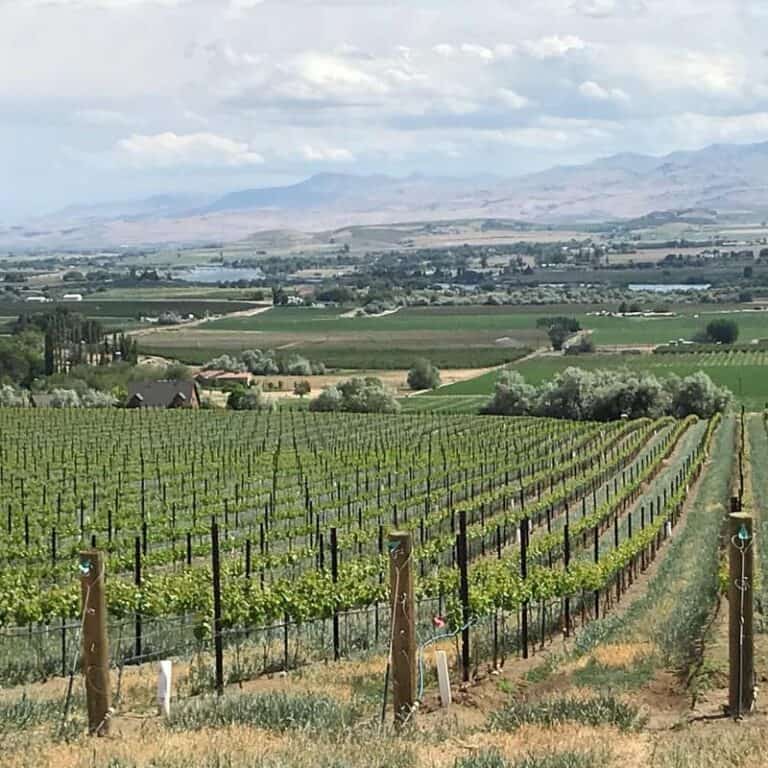 Snake River Valley Wine Tasting 2023 10 Best Wineries to Visit