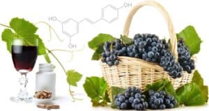 Curated visual reference: Visual Reference: What Are Concord Grapes History Eating 5 Facts And More