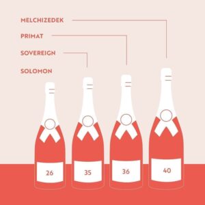 Wine Bottle Dimensions: 15 Wine Bottle Sizes And Meanings