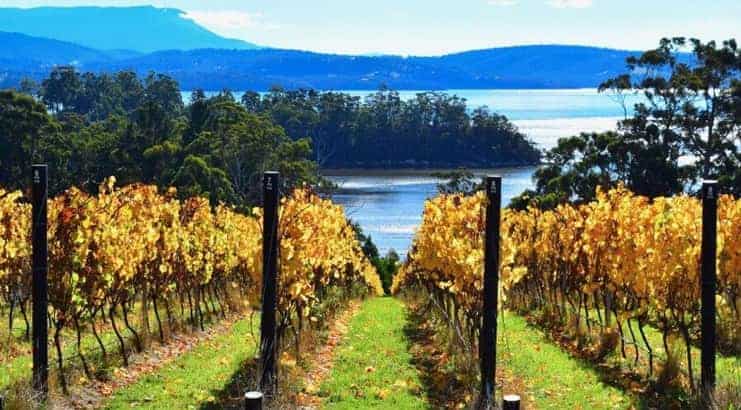 Tasmania wine region