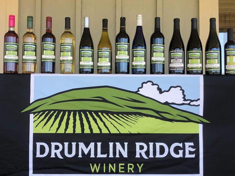 Drumlin Ridge Winery 2