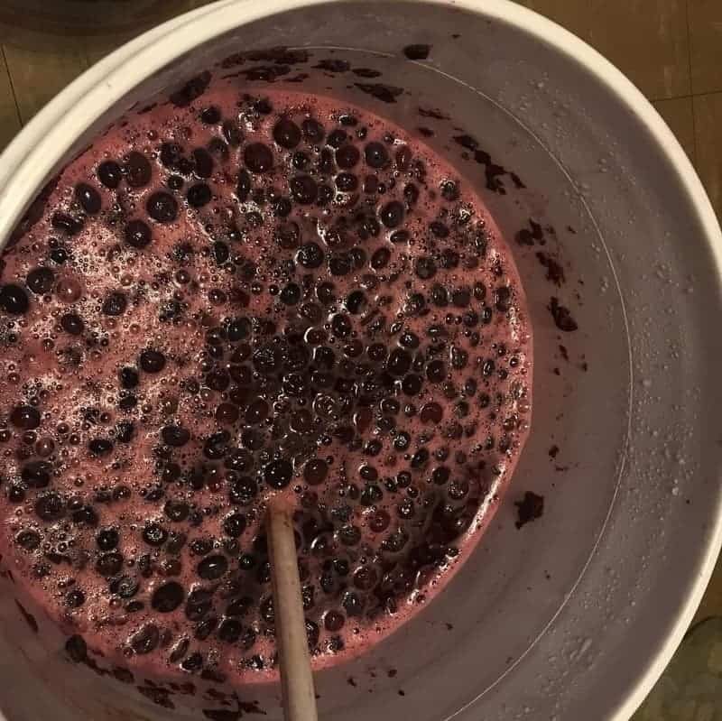 Making Blueberry Wine Without Yeast