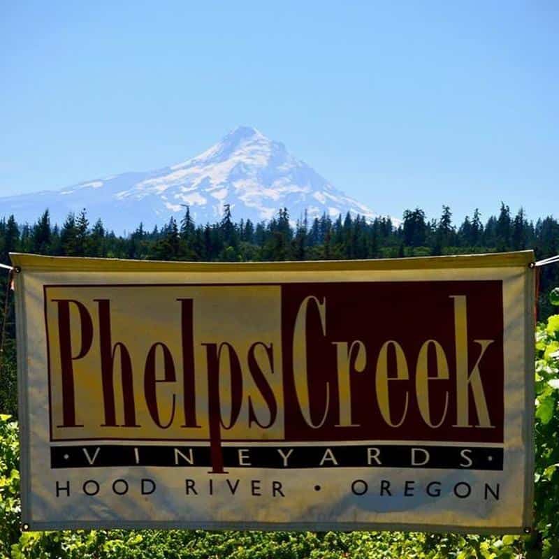 Phelps Creek Vineyards 1