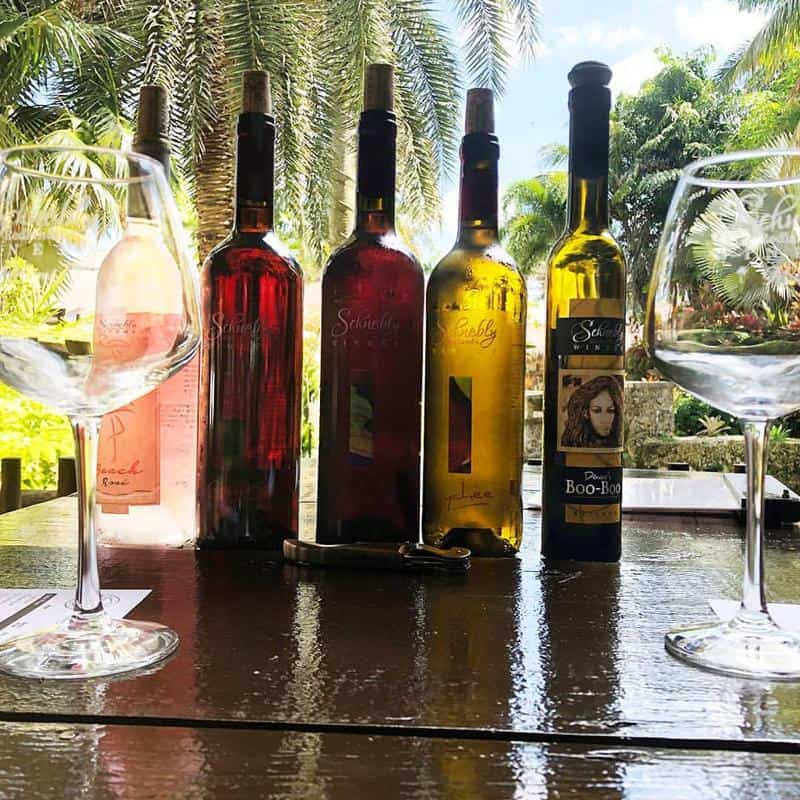 Schnebly Winery 2