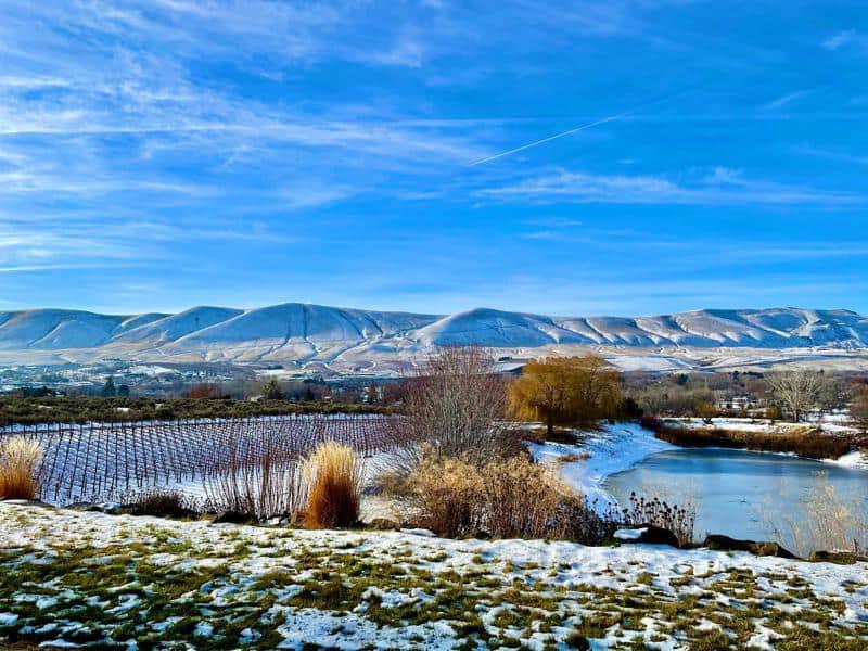 Terra Blanca Winery and Estate Vineyard 1