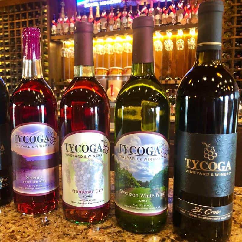 Tycoga Vineyard and Winery 3
