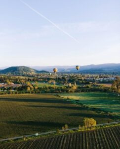 Best Time to Visit Napa Valley: Seasons Guide