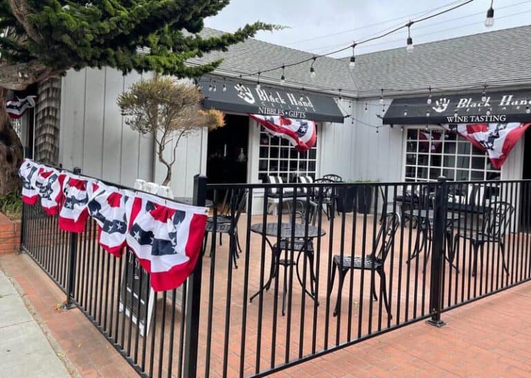 Cambria Wine Tasting 2023 Top 6 Wineries to Visit