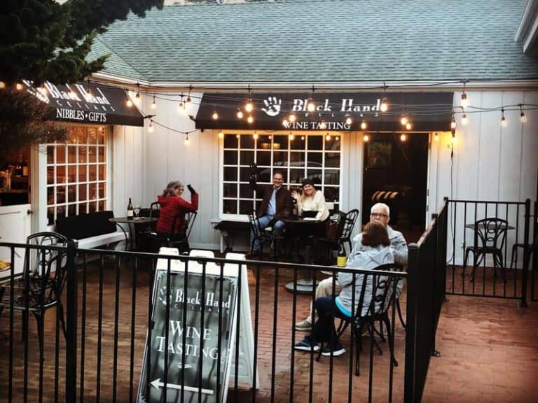 Cambria Wine Tasting 2023 Top 6 Wineries to Visit