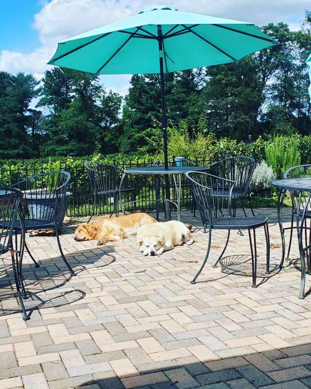 Elk Run Winery 1