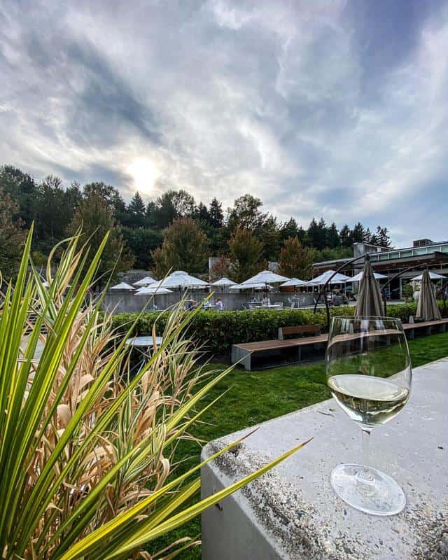Novelty Hill-Januik Winery 3