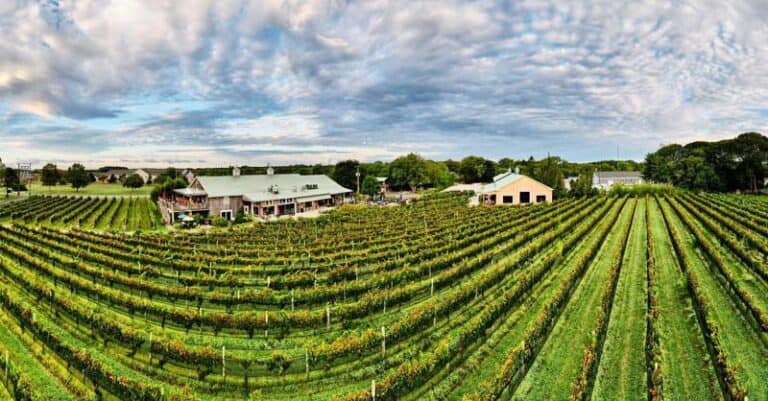 11 Best Wineries In New Jersey To Visit 2023