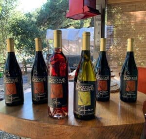 Solvang Wine Tasting: 11 Best Wineries to Visit