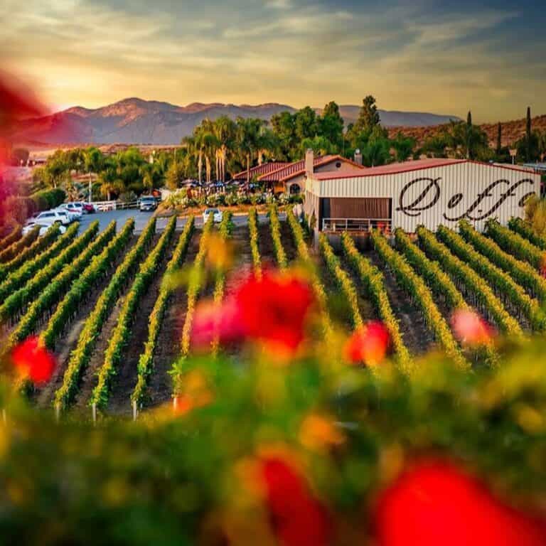 Temecula Wine Tasting 2022 12 Best Wineries To Visit
