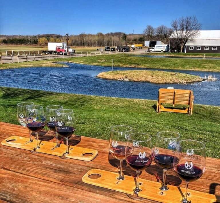 10 Best Wineries on Seneca Lake Wine With a View
