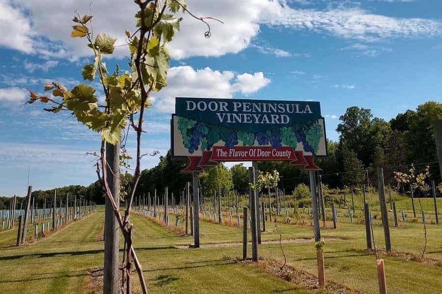 Best Wineries In Door County