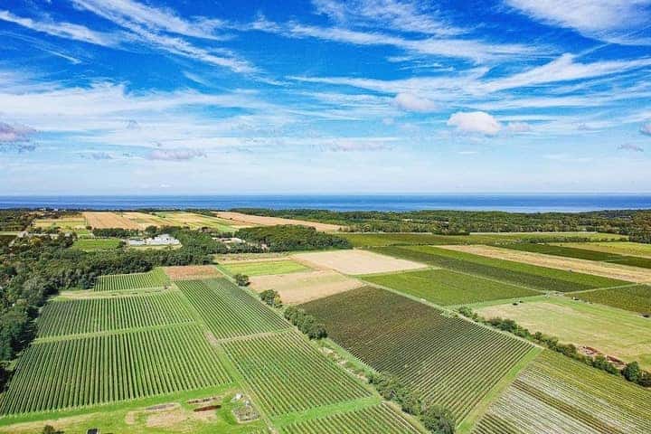 Best Wineries in North Fork