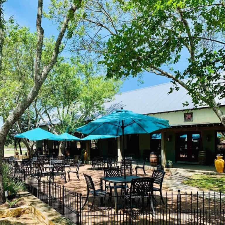 Fredericksburg Wine Tasting 10 Best Wineries to Visit