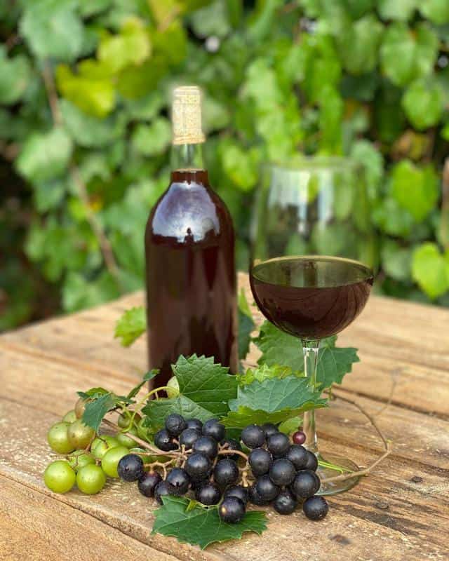 How Should Muscadine Wine be Served