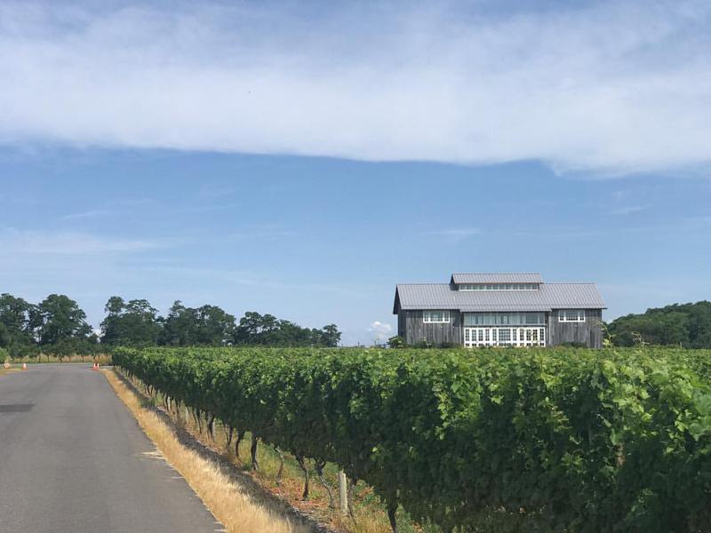 Kontokosta Winery 1