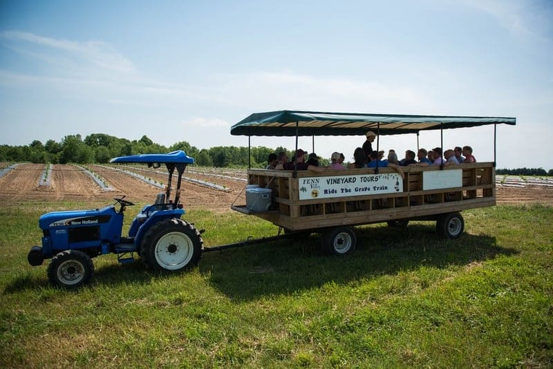 Fenn Valley Vineyards 1