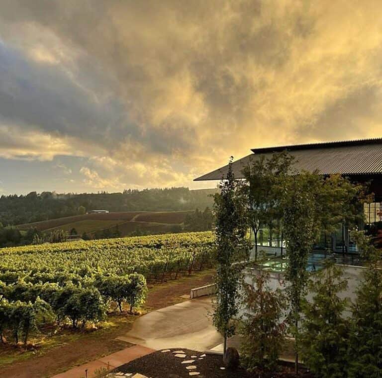 Dundee Oregon Wine Tasting 2023 Top 10 Wineries to Visit