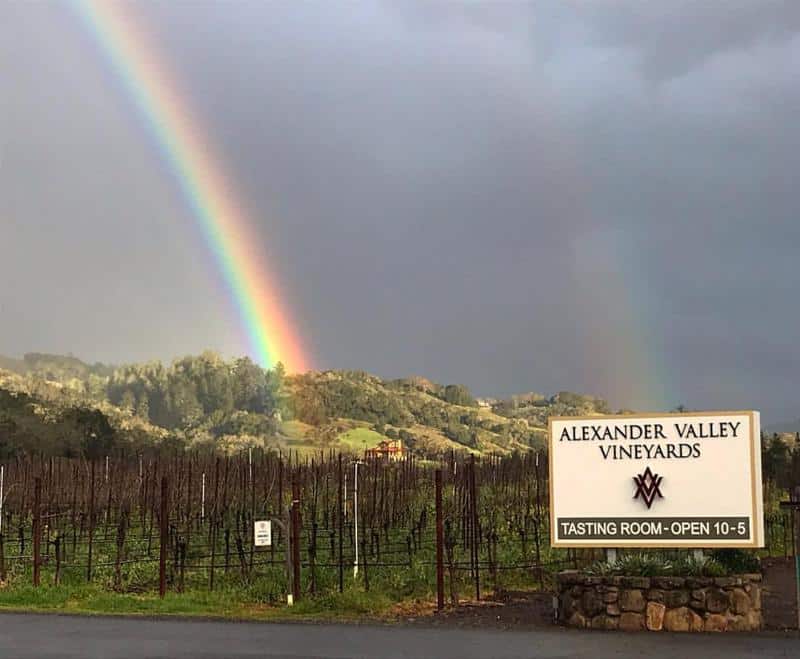 Alexander Valley Vineyards 2