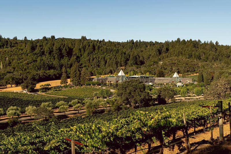 Francis Ford Coppola Winery 1