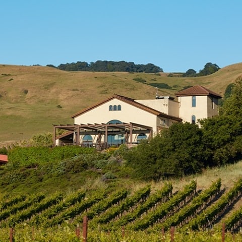 Gloria Ferrer Caves & Vineyards 1