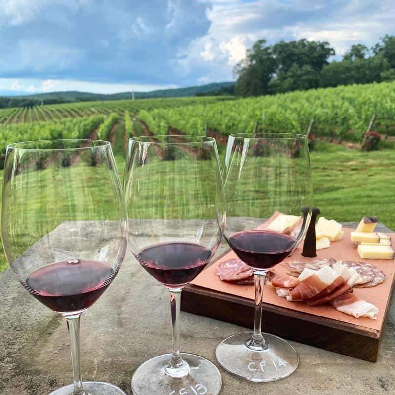 Barboursville Vineyards 2