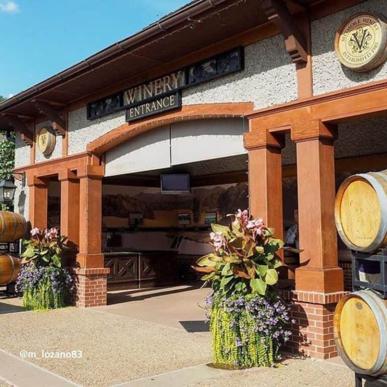 12 Best Wineries in Asheville Area to Visit 2023