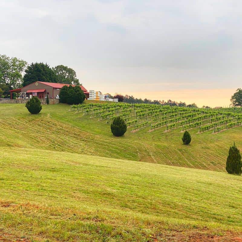 Overmountain Vineyards