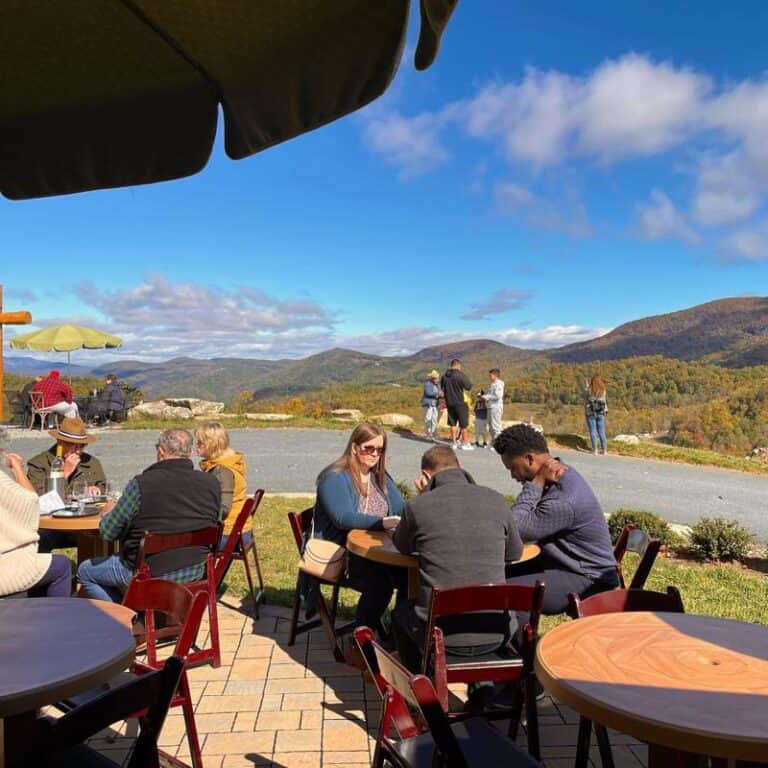 12 Best Wineries in Asheville Area to Visit 2023