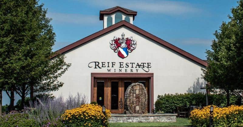 Reif Estate Winery 1