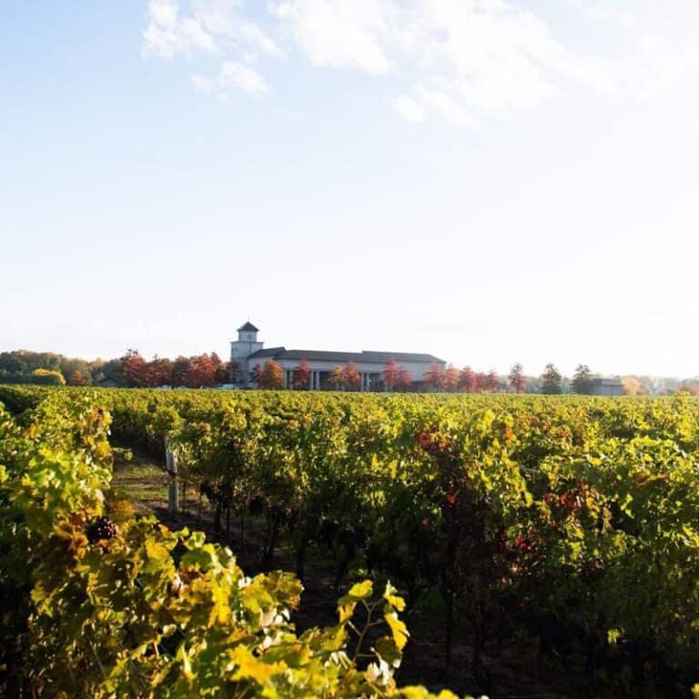 10 Best Wineries In NiagaraontheLake to Visit 2023