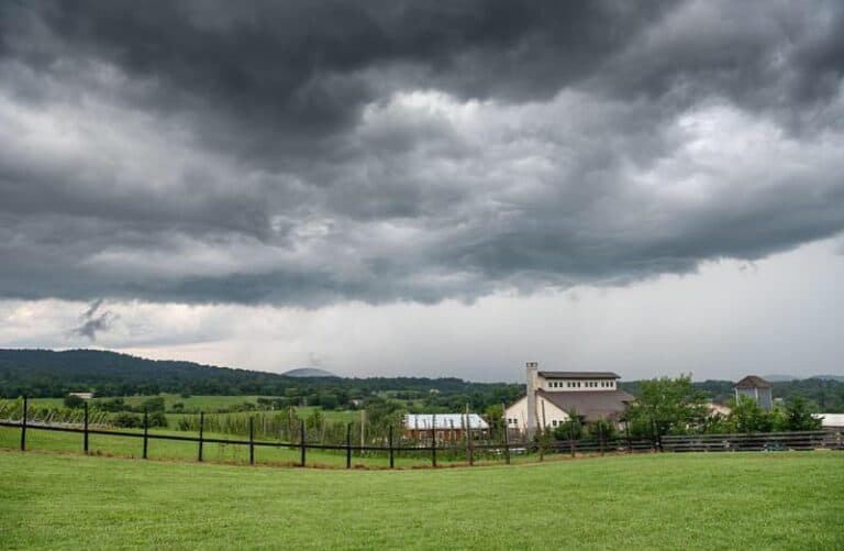 The 10 Best Wineries in Virginia to Visit 2026 - Coastal Wine Trail