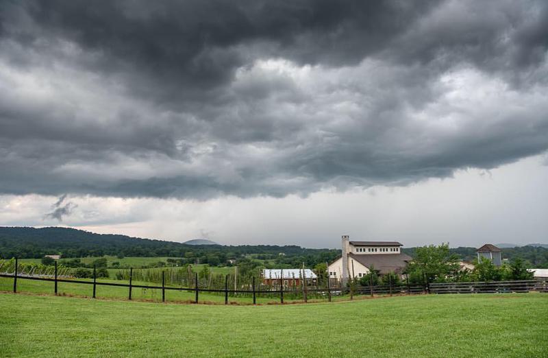 Barrel Oak Winery and Farm Taphouse