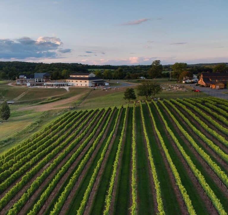 The 10 Best Wineries in Virginia to Visit 2023 Coastal Wine Trail
