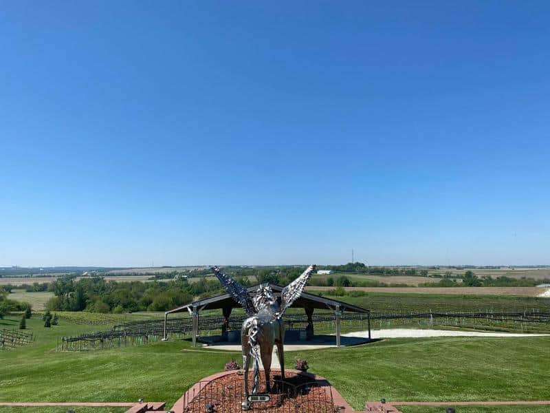 Soaring Wings Vineyard and Brewing